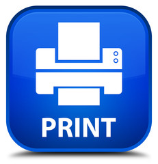 Print (printer icon) blue square button
