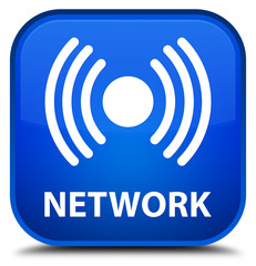 Network (signal icon) blue square button