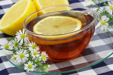 Cup of lemon tea with fresh chamomile flowers on the side
