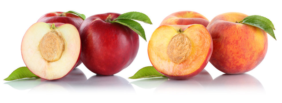 Pfirsich Nektarine Pfirsiche Nektarinen Frucht Fr&uuml;chte Obst Fre