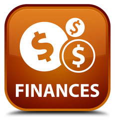 Finances (dollar sign) brown square button