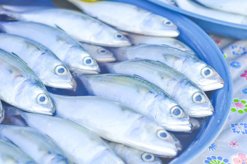 Fototapeta premium raw fish at the market