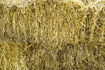 Background. Yellow straw.