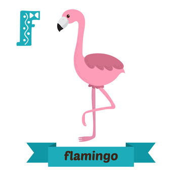 Flamingo. F letter. Cute children animal alphabet in vector. Fun