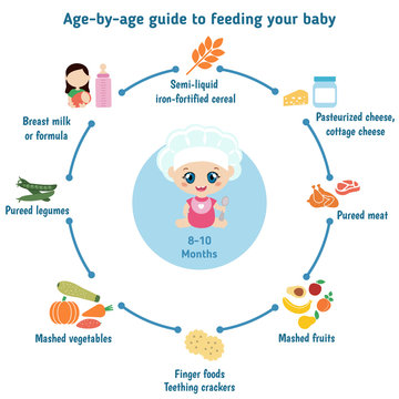 Feeding baby infographics