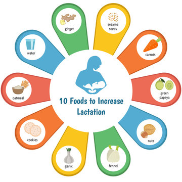 Foods to increase lactation