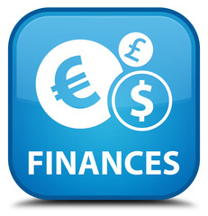 Finances (euro sign) cyan blue square button