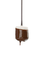 marshmallow dipped in chocolate syrup.