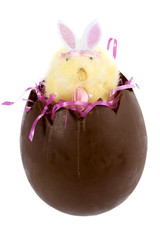 rabbit and chocolate egg