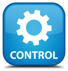 Control (settings icon) cyan blue square button