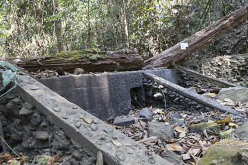 Obraz premium weir in forest in drought