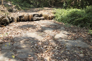 trail on hill in forest for hiking or trekking