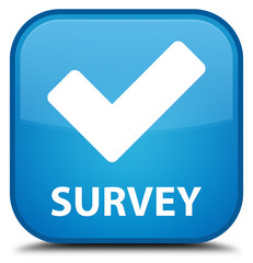 Survey (validate icon) cyan blue square button