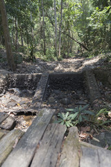 Obraz premium weir in forest in drought