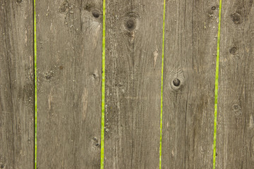 Fototapeta premium Rural fence from wooden planks with knots. Wood texture