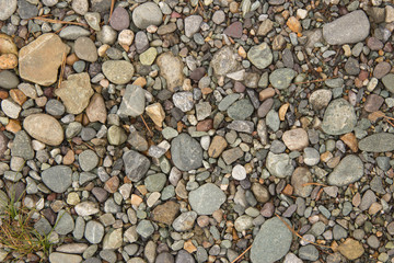 River pebbles of different colors on the river bank in the summe