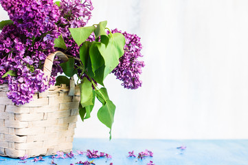 Spring time interior with lilac