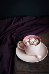 Cup of hot chocolate with marshmallow