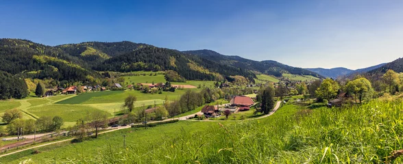 Fotobehang Panoramalandschaft im Gutachtal, Schwarzwald © marcelheinzmann