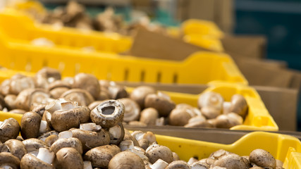 Yellow plastic bins of fresh brown mushrooms in a farmers market stall.
