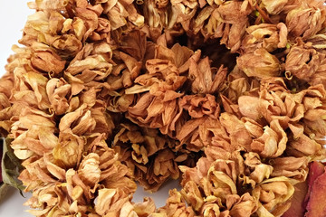 Closeup of Dried Jasmine Garlands, Phuang Malai on white background