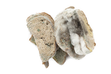 moldy slices of bread