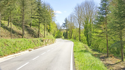 Fototapeta premium Carretera de Viladrau, Montseny, Catalunya, España