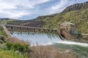 Washable wall murals Dam Spring on Boise River with high water and flowers