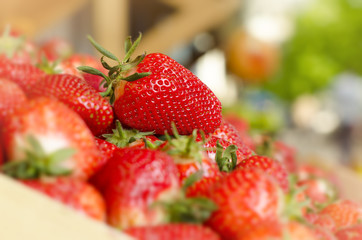 Closeup of beautiful fresh strawberry in front of market place