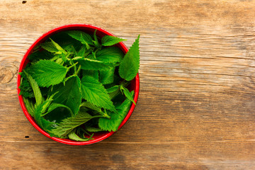 fresh green nettle leaves in a red bowl on the old wooden background. with space for posting information. rustic style
