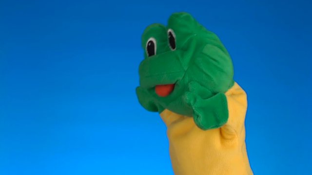 Funny soft puppet frog on blue background