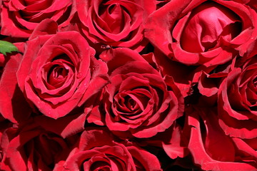 Rote Rosen als Zeichen der Liebe, Hochzeitsstrauß