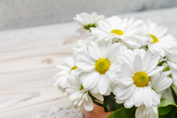 Fototapeta premium white flowers on wooden background