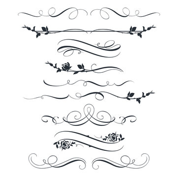 Set of calligraphic decorative elements and flowers