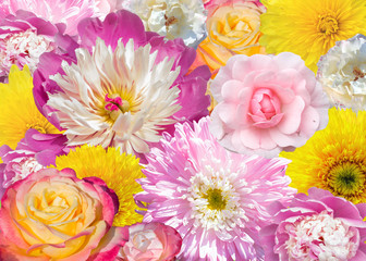 A collage of yellow and pink flowers