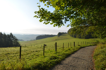 Obraz premium Forest and meadows on a sunny autumn morning in Kinnoull Hill Woodland Park, Perth, Scotland