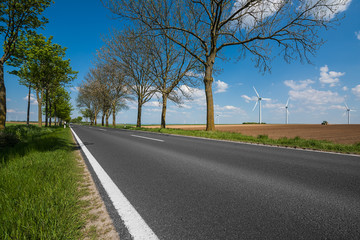 Deutsche Landstraße, Allee, in Rheinland-Pfalz und Windräder im Hintergrund unter sommerlich...