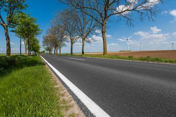Deutsche Landstraße, Allee, in Rheinland-Pfalz und Windräder im Hintergrund unter sommerlich...
