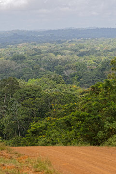 Lumière sur la forêt amazonienne vue des hauteurs de la commune de Papaïchton Guyane française.