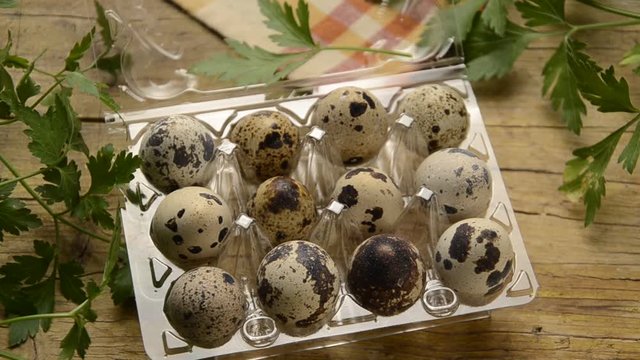 Coturnix coturnix বতা চৰাই Quaglia Wachtel سمان Uova Caille des bl&eacute;s Eggs Huevo Quail Codorniz ヨーロッパウズラ Eier &oelig;ufs Przepi&oacute;rka zwyczajna Обыкновенный перепел Jaja przepi&oacute;rcze яйца