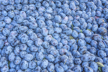 farmers market on streets on istanbul
