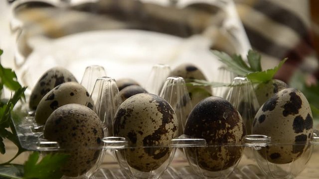 鹌鹑蛋 Quail eggs Uova di quaglia ไข่นกกระทา Wachtelei Перепелиные яйца &OElig;uf de caille Тухми бедона Trứng c&uacute;t Wachteleier 