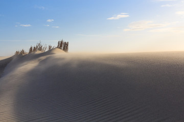 Dünen in Nordeuropa