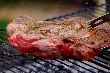 barbecue printanier 1