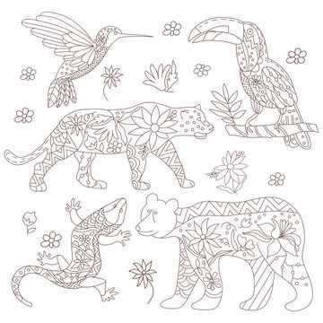 A set of isolated vector images of Mexican animals.Vector.
