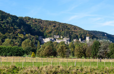 Gwrych Castle