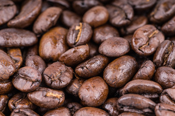 Fresh oily coffee beans