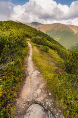 Fototapeta na wymiar Hiking Trail on the Hill in the Mountains