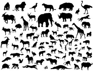 Afrikanische Tierwelt