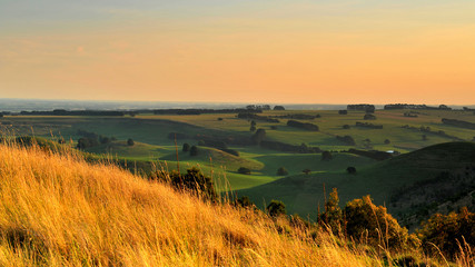 Naklejka premium Australia Landscape : Melbourne countryside